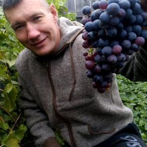 Парни в Алейске: Андрей Медведев, 41 - ищет девушку из Алейска