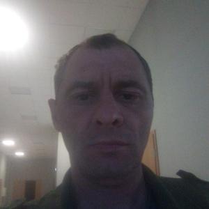 Андрей, 39 лет, Шушары