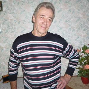 Анатолий Сидельцев, 70 лет, Самара