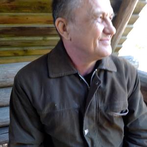 Сергей, 65 лет, Нижний Новгород
