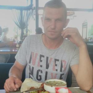 Олег, 38 лет, Витебск