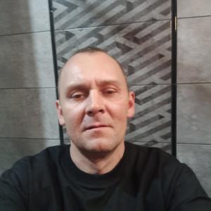 Илья, 41 год, Ирбит