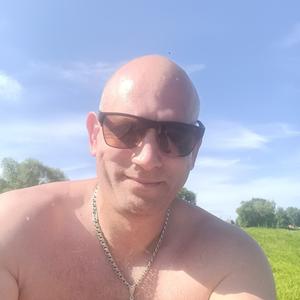 Владимир, 42 года, Полоцк