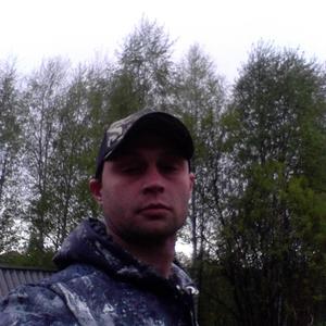 Сергей Батанов, 41 год, Кировград