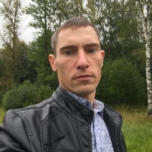 Юрий, 34 года, Белгород