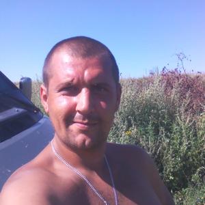 Михаил, 43 года, Зарайск