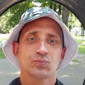 Сергей, 43 года, Коломна