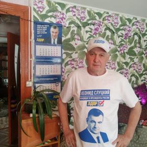 Валерий, 64 года, Йошкар-Ола
