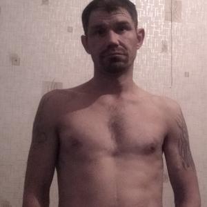 Сергей, 43 года, Малая Вишера