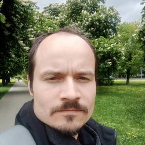Илья Сокол, 37 лет, Мытищи