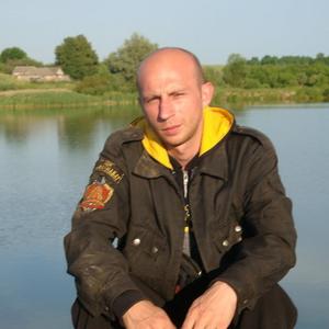 Павел Белугин, 43 года, Локоть
