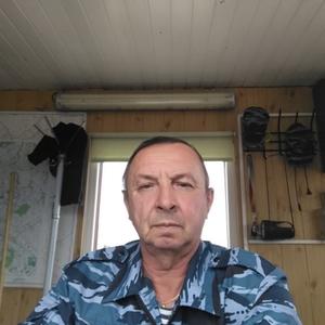 Александр Катаев, 67 лет, Озерск