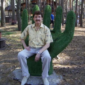 Анатолий, 76 лет, Белгород