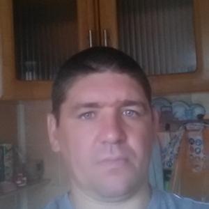 Виктор, 45 лет, Пушкино
