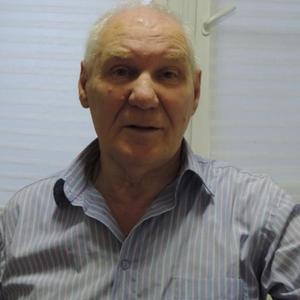Андрей, 58 лет, Сочи