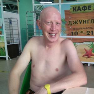 Алекс, 41 год, Владимир