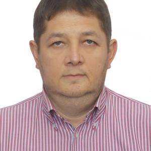 Ратмир Абдрахманов, 47 лет, Зеленодольск