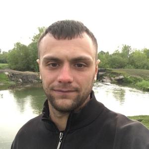 Александр Власенко, 41 год, Барнаул