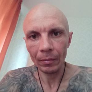 Denis, 42 года, Тюмень