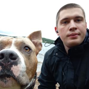 Алексей, 31 год, Кандалакша