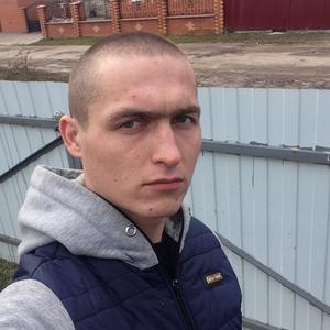 Илья, 28 лет, Рязань