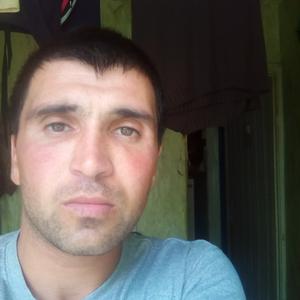 Дмитрий, 37 лет, Серов