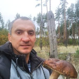Алексей Колосов, 43 года, Сомово