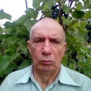 Вячеслав, 75 лет, Гуково