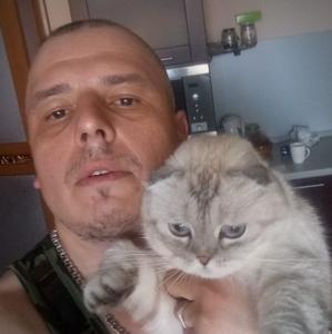 Сергей, 41 год, Бронницы