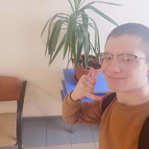 Зайцев Никита, 21 год, Тольятти