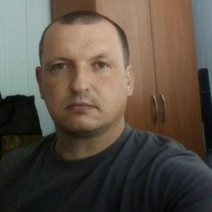 Роман, 43 года, Белгород
