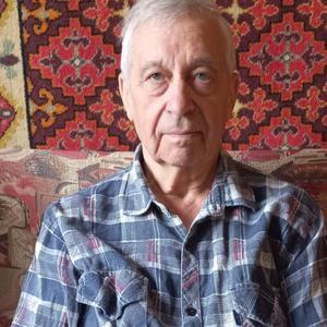 Борис, 82 года, Нижний Новгород