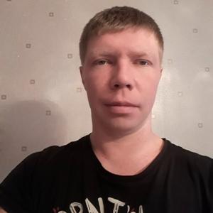 Олег Суровцев, 37 лет, Череповец