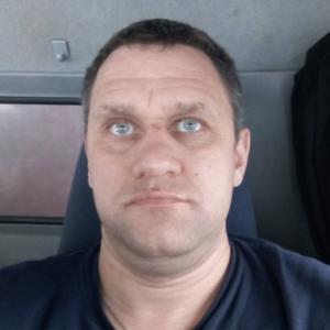 Роман, 42 года, Иваново