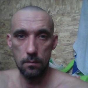 Владимир, 42 года, Хотьково
