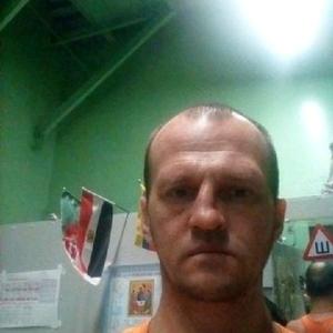 Андрей, 43 года, Пенза
