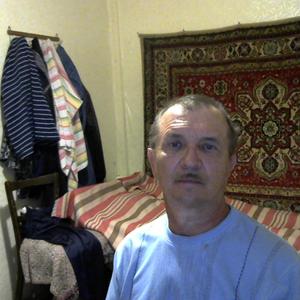 Александр Лазьков, 66 лет, Воронеж