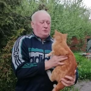 Владимир, 66 лет, Новомосковск