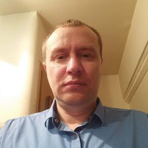 Игорь, 45 лет, Зеленогорск