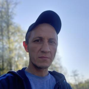 Андрей, 40 лет, Саранск