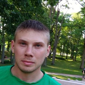 Дмитрий, 29 лет, Михайловка