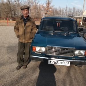 Владимир Буренин, 72 года, Славянск-на-Кубани
