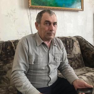 Анатолий Лебедев, 75 лет, Челябинск