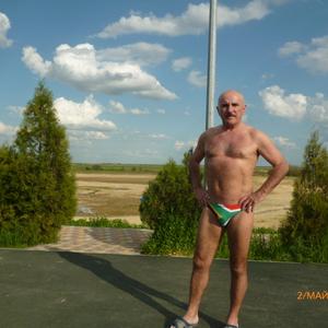 Парни в Ипатово (Ставропольский край): Владимир, 67 - ищет девушку из Ипатово (Ставропольский край)