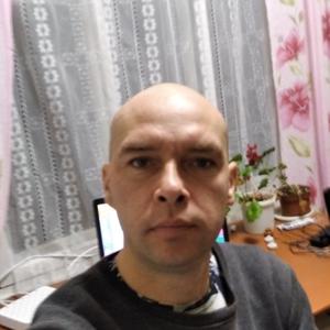 Юрий, 36 лет, Архангельск