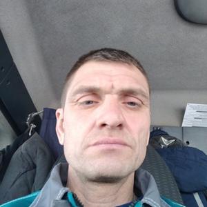 Вадим, 43 года, Тазовский