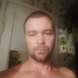 Роман, 39 лет, Федотово