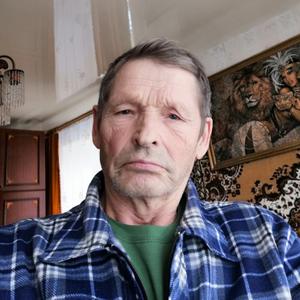 Леонид, 73 года, Новосибирск