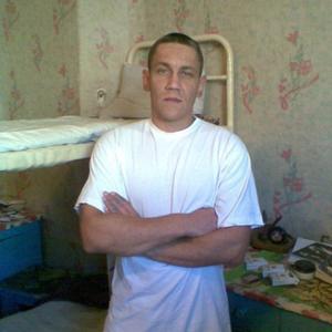 Андрей, 43 года, Брянск