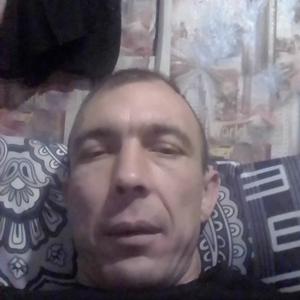 Сергей Шаповалов, 43 года, Чернянка